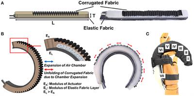 Design and Preliminary Feasibility Study of a Soft Robotic Glove for Hand Function Assistance in Stroke Survivors